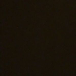 Meet your Posher, Audrey